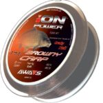 awa shima browny carp