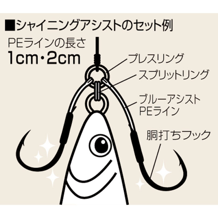 SHOUT Shining assist - Slika 3