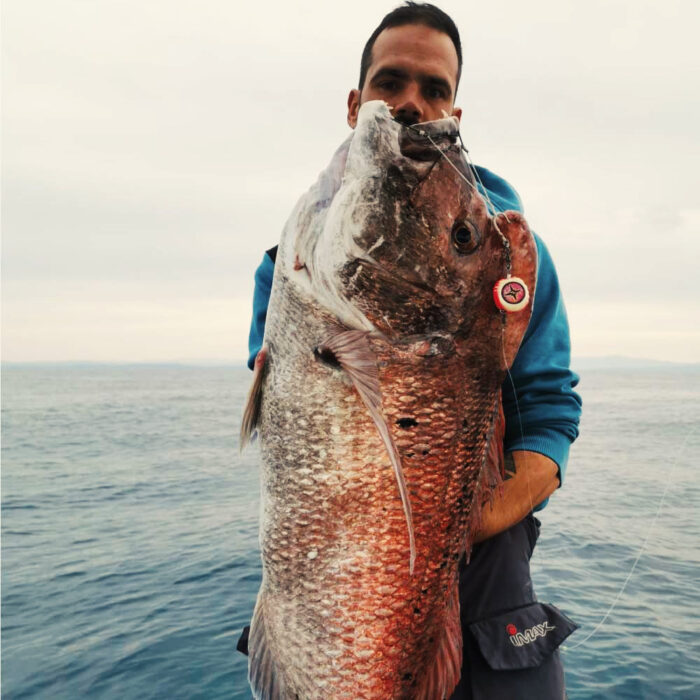 JLC Nautilus 2.0 Live Kab 250g Head - Slika 2