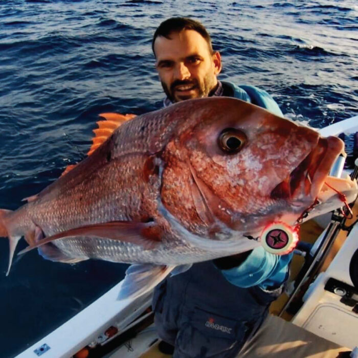 JLC Nautilus 2.0 Live Kab 250g Head - Slika 3